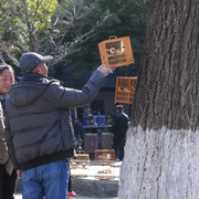 China and Europe Story. Courtesy of Bozar