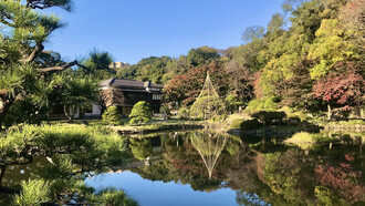 Higo Hosokawa Garden © Alma Reyes