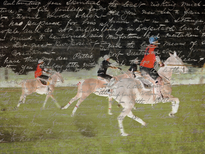 Polo,
2014
by
Paul
Gerben