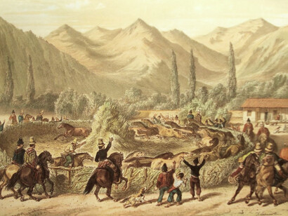 Una trilla por Claudio Gay (1800-1873) encontrada en 'Atlas de la historia física y política de Chile'