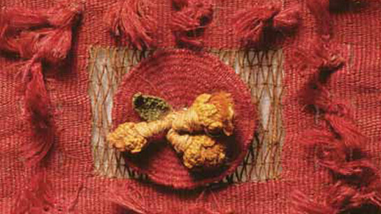 Chimu ceremonial costume. Courtesy of Museo Chileno de Arte Precolombino