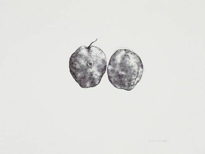 Cai Jin, Pear No. 2, 2012, Ballpoint pen on paper, 21 1/4 x 30 3/4 in (54 x 78 cm). Courtesy of the artist and Chambers Fine Art