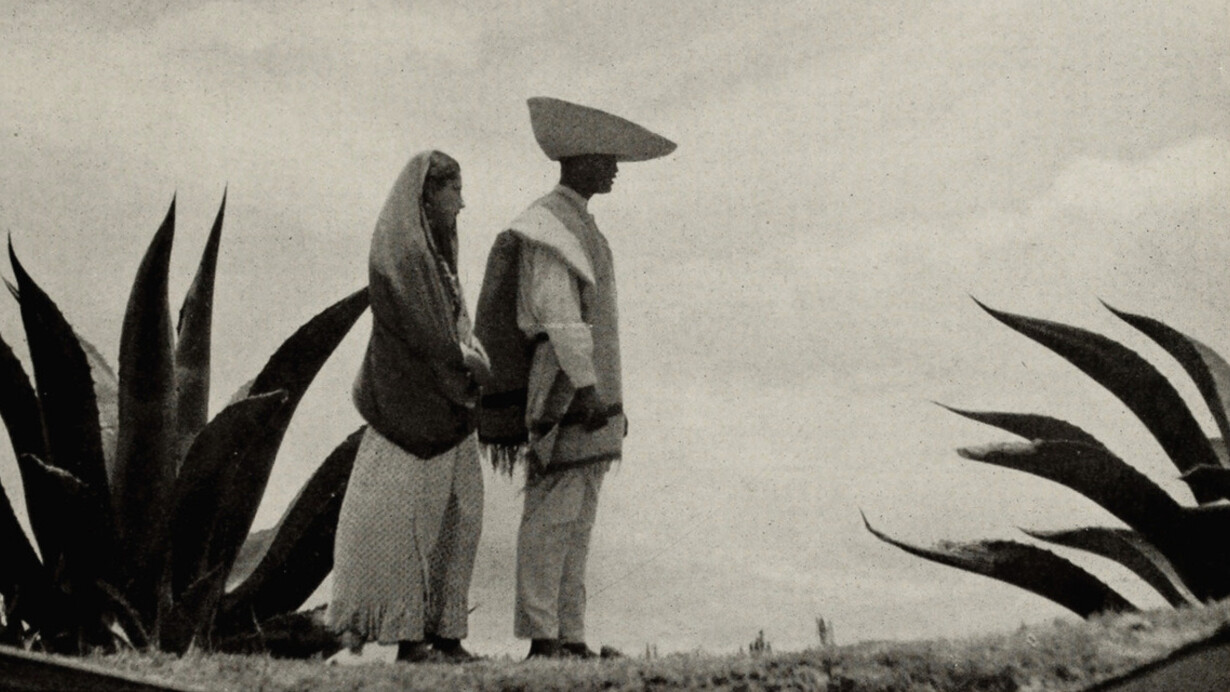Mixografia Summer Screenings. Courtesy of Mixografia
