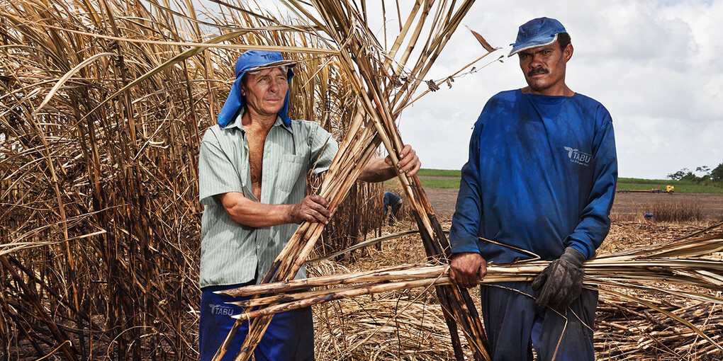 Jonathas de Andrade: Visões do Nordeste. Courtesy of Museo Jumex