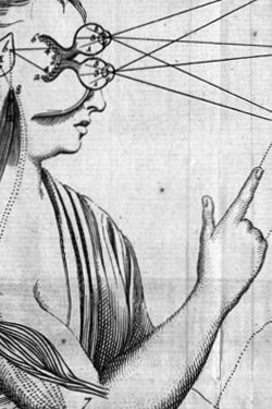 Ilustración ejemplificando geometrías y mecánicas del cuerpo humano, "Tratado del Hombre" de René Descartes, 1729