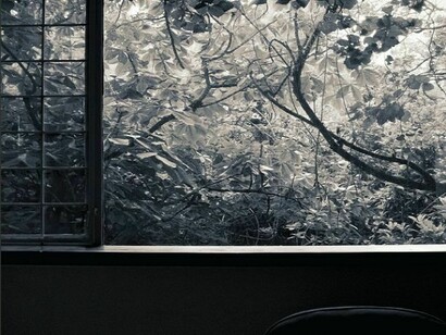 Casa de Luis Barragán, jardin