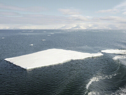 Arctic Fading. Courtesy of Soho Photo Gallery