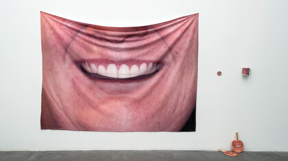 Eva e Franco Mattes, Image Search Result, 2016. Mata, Modena (ph. Elenia Megna, 2016)