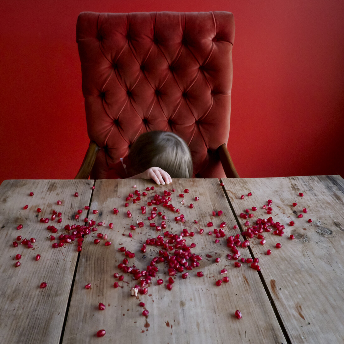 Pomegranate Seeds, Scout, Rockport, Maine, 2012