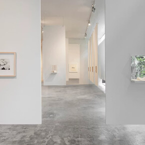 Luis Camnitzer, Una que cubre la palabra que la nombra, exhibition view. Courtesy of Labor Gallery