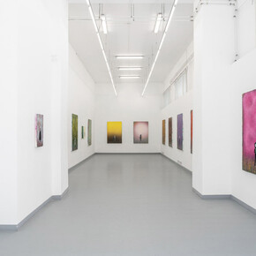 Vladimír Houdek, Parallel self, exhibition view. Courtesy of acb Gallery