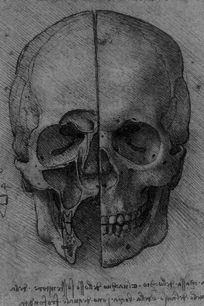Anatomía de Da Vinci