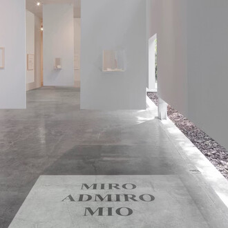 Luis Camnitzer, Una que cubre la palabra que la nombra, vista de exhibición. Cortesía de la Galería Labor