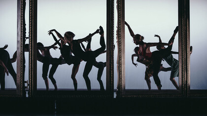 Exhibition. Ph. Filip Van Roe