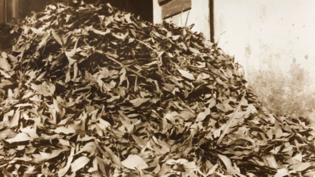 Jose Manuel Fors. Courtesy of Pan American Art Projects