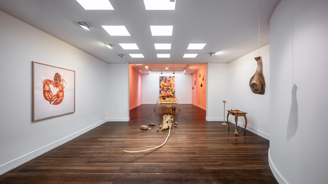 Liliana Sánchez, Fruto animal, exhibition view. Courtesy of Casas Riegner Gallery