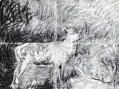 Adel Abdessemed, Cerf, 2016. Courtesy of Cahiers d'Art
