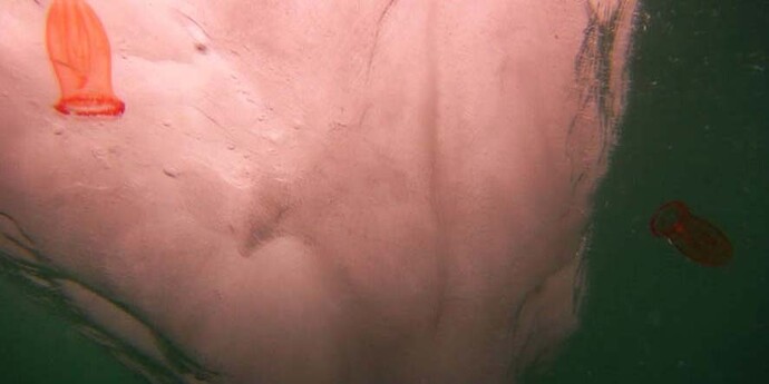 Fucking Beautiful. Courtesy of Magda Danysz Gallery