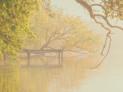 El monstruo es, en diferentes simbolismos, guardián de tesoros