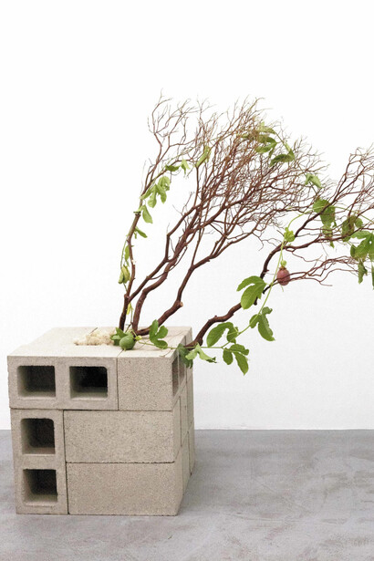 Kenzan, Manzanita (small). Courtesy of Rele Gallery