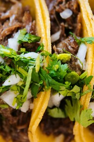 Dei tacos ripieni impiattati