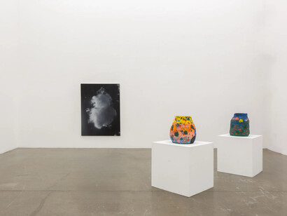 Various artists, Second nature, exhibition view. Courtesy of Ochi Gallery