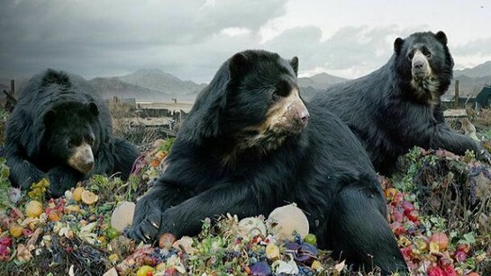 Untitled #152, 2008, From the series Until the Kingdom Comes, C-Print, 62″ × 96″