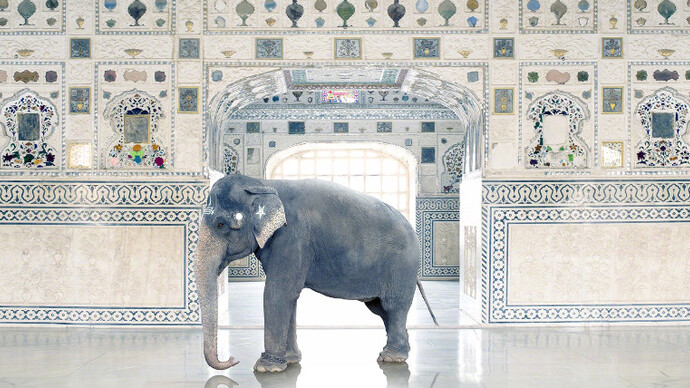 Karen Knorr. Courtesy of Jackson Fine Art