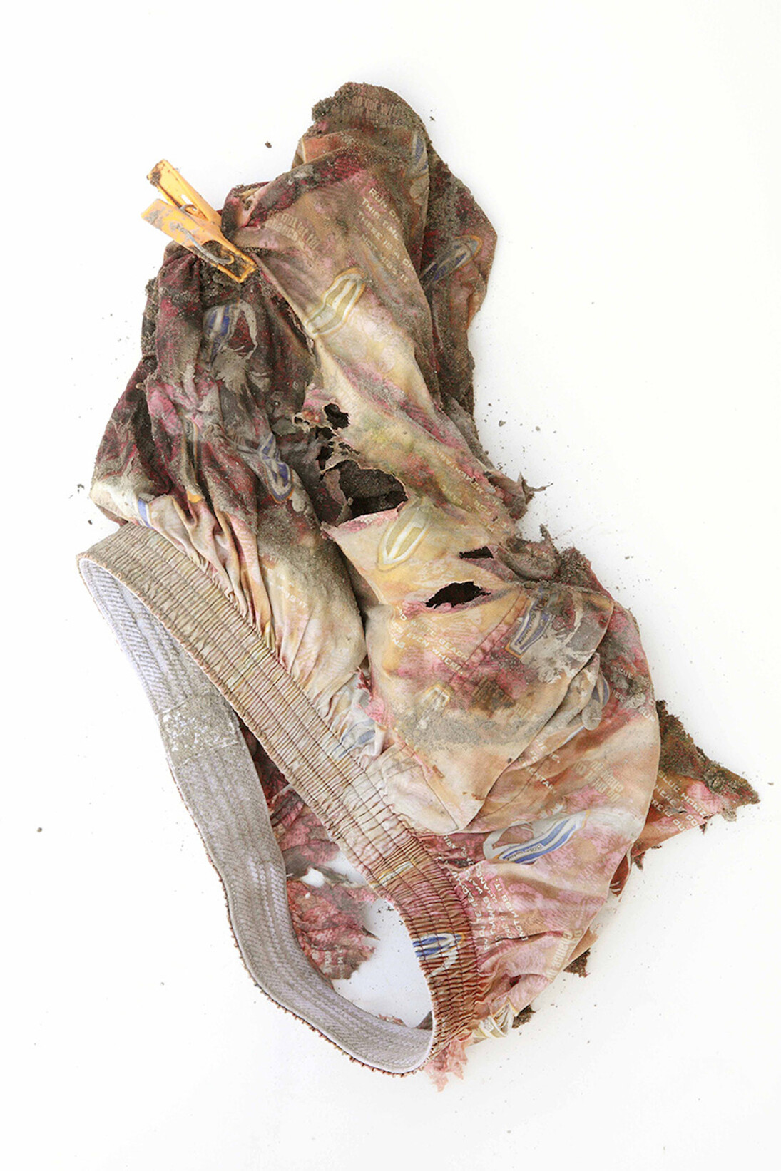 Tomohiro Muda. Courtesy of The Horiuchi Foundation