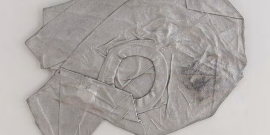 Any Means. Courtesy of Michel Rein Gallery 