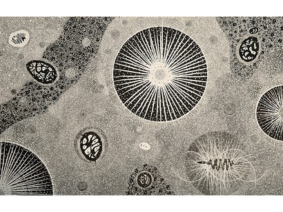 John Anderson, 2003-09, 85x132.5, acrylic on canvas