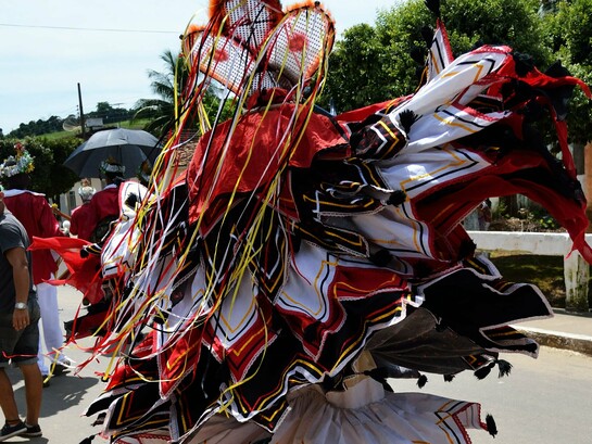 Em janeiro, a avó precisava da ajuda de muitas mãos para preparar uma merenda caprichada. A casa recebia os foliões de reis. Era um grupo da Fraternidade de São Benedito, muita gente para celebrar os Reis Magos que seguiram a estrela e foram presentear o menino Jesus. Uma dupla reverência, aos Reis do Oriente e ao nascimento do filho de Deus. A cantoria reiseira ouvia-se de longe. Os meninos, rapazes e homens faziam um cortejo pelas ruas de terra com as indumentárias próprias, seus ritos e instrumentos. Já sabiam o trajeto e quais casas seriam visitadas. O mestre levava uma bandeira e organizava a comitiva; os cantos, o coro, as brincadeiras e danças eram todas orquestradas de acordo com a tradição