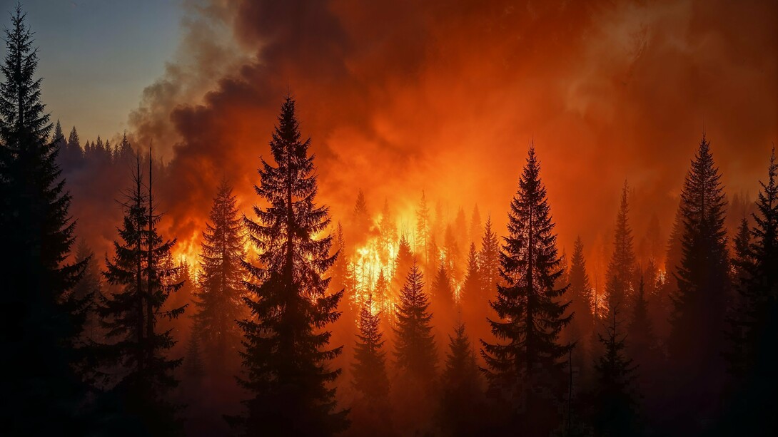 A wall of flames engulfs the forest—an urgent reminder of why Greece must rethink how it fights wildfires