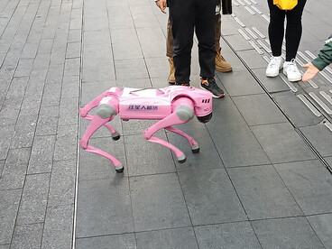 A robotic dog rental demo held in February 2025 in Huaqiang North, Futian District, Shenzhen, China