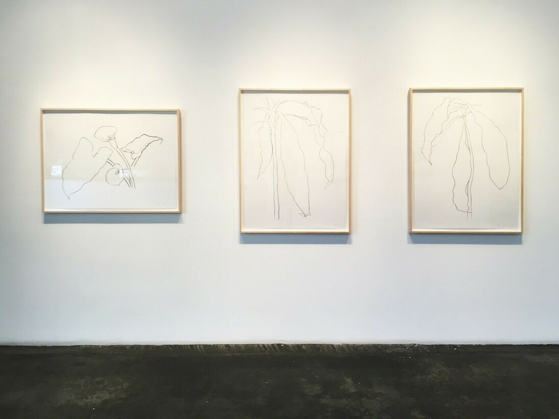 Ellsworth Kelly. Courtesy of Leslie Sacks Gallery