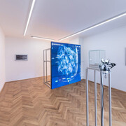 Tatjana Vall, Warm silver skies, exhibition view. Courtesy of Britta Rettberg Gallery