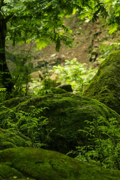 Il CNRE promuove un nuovo modello costruttivo basato su materiali naturali, legno e tecniche modulari ad alta efficienza energetica