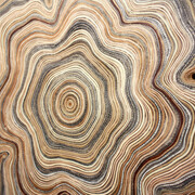 Jessica Drenk
“Circulation”, 2019
waxed book pages
Dimensions variable