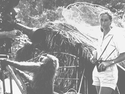 Jane Goodall has spent nearly thirty years in permanent contact with her animals, the chimpanzees 