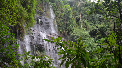 Chikamagalur, The Falls