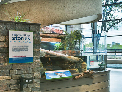 Yawkey Gallery on the Charles River. Courtesy of Museum of Science