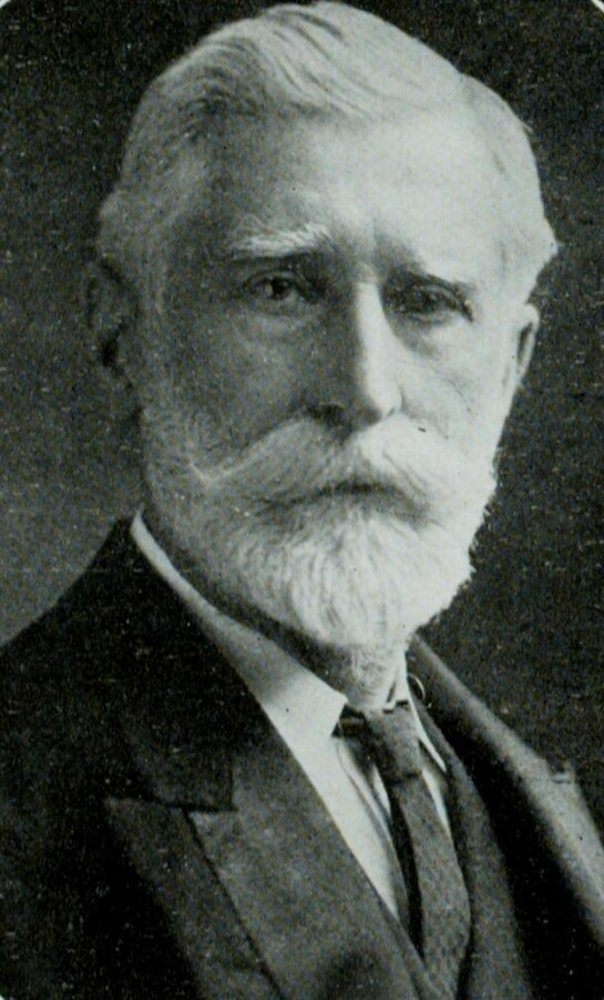 Portrait of William Martin Murphy