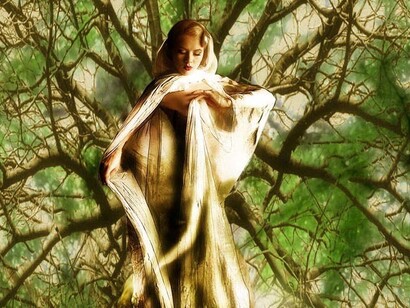 La donna albero