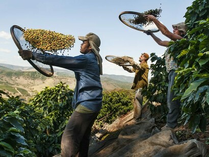 Brasile 2010 © Steve McCurry 