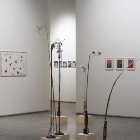 Various artists, Improvisations, exhibition view. Courtesy of Gallery Isabelle Van Den Eynde