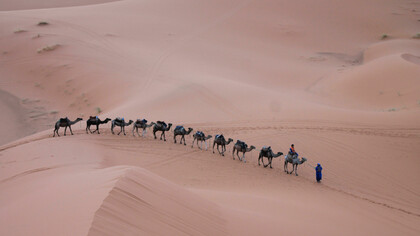 Spesso pare che un problema, come quello dei “17 cammelli”, non abbia soluzioni