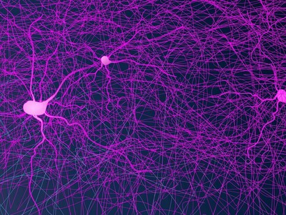 Un esempio di connessione neurale