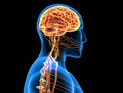 Gli sviluppi delle neurotecnologie presentano profonde implicazioni etiche