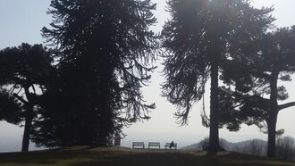 Un ristorante-bistrot immerso in museo di Land’s Art sulle colline biellesi