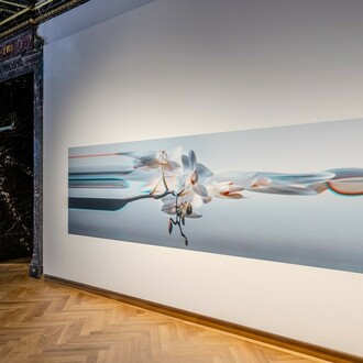 Sebastian Cramer, Two views on plants, exhibition view. Courtesy of Naturhistorisches Museum Wien